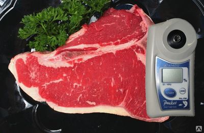 Поверка солемера PAL-FM1