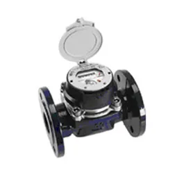 Счетчик Aquametro RUBIN MeiStream Plus 100